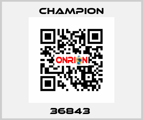 36843  Champion