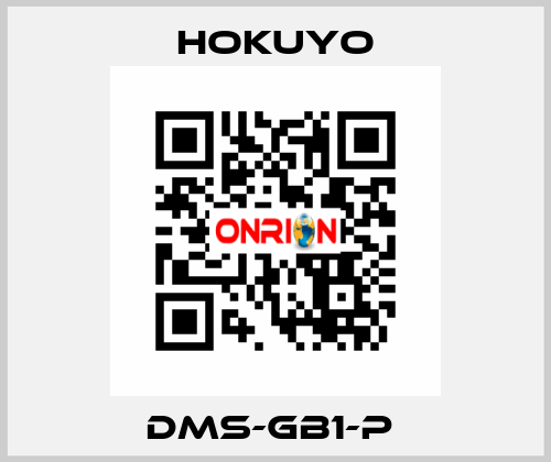 DMS-GB1-P  Hokuyo