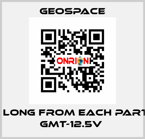 2,7 M LONG FROM EACH PARTY OF GMT-12.5V  GeoSpace