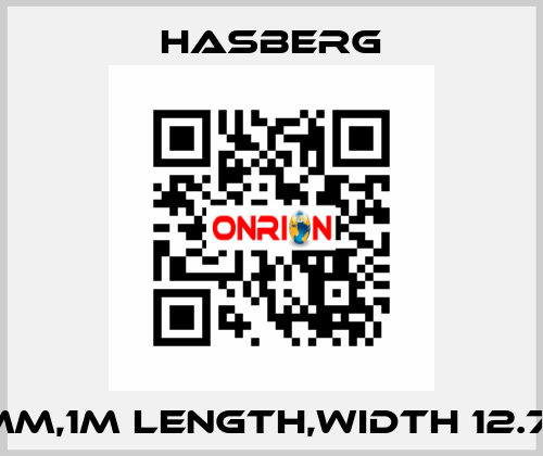 0,05MM,1M LENGTH,WIDTH 12.7 MM,  Hasberg