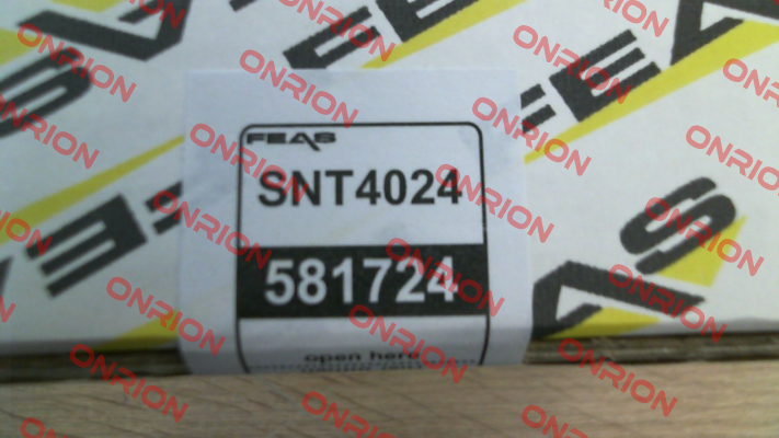 SNT4024 Feas